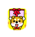 GOGO！柴犬くん（個別スタンプ：35）