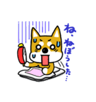 GOGO！柴犬くん（個別スタンプ：37）