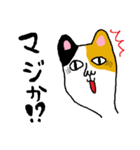 三毛猫ミケヒコ（個別スタンプ：2）