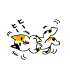 三毛猫ミケヒコ（個別スタンプ：17）