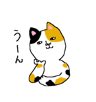 三毛猫ミケヒコ（個別スタンプ：24）