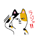 三毛猫ミケヒコ（個別スタンプ：27）