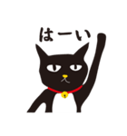 黒猫 さんくろう（個別スタンプ：4）