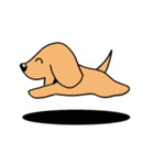 ミニチュアダックスフント 犬のスタンプ（個別スタンプ：6）
