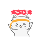 ペルシャねこのペルちゃん（個別スタンプ：11）