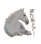 馬 Horses 馬大好き（個別スタンプ：11）