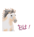 馬 Horses 馬大好き（個別スタンプ：12）