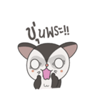 Noo Sujai Sugar Glider（個別スタンプ：23）