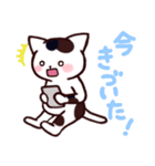 にゃんこタイム（個別スタンプ：35）