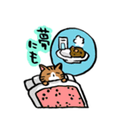 カレーネコ（個別スタンプ：23）