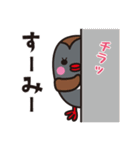 LOVE沖縄（個別スタンプ：16）
