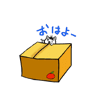 ニャン子とダンボール箱（個別スタンプ：4）
