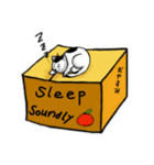 ニャン子とダンボール箱（個別スタンプ：6）