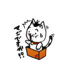 ニャン子とダンボール箱（個別スタンプ：24）