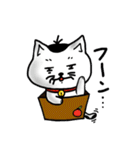 ニャン子とダンボール箱（個別スタンプ：31）