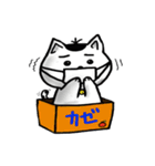 ニャン子とダンボール箱（個別スタンプ：34）