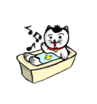 ニャン子とダンボール箱（個別スタンプ：36）