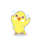 黄色インコくん（個別スタンプ：14）