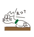 めがねことたまちゃん（個別スタンプ：1）