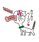 めがねことたまちゃん（個別スタンプ：11）