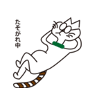 めがねことたまちゃん（個別スタンプ：33）