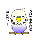 インコのぴー（個別スタンプ：26）