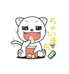 目つき悪いよ白猫さん（個別スタンプ：17）