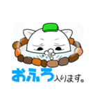 目つき悪いよ白猫さん（個別スタンプ：38）