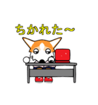 BOWWOW  OFFICE 2（個別スタンプ：15）