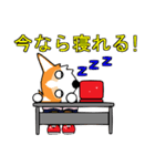 BOWWOW  OFFICE 2（個別スタンプ：30）