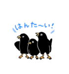 ねぐらからす（個別スタンプ：9）