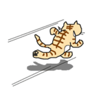 ねこに九生あり！（個別スタンプ：19）