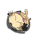 ねこに九生あり！（個別スタンプ：40）