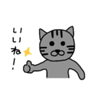 猫のトラくん（個別スタンプ：11）