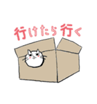 真顔にゃんこ（個別スタンプ：30）