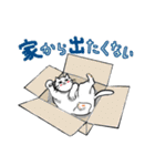 真顔にゃんこ（個別スタンプ：31）