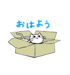 真顔にゃんこ（個別スタンプ：39）