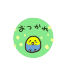 まったりいんこ（個別スタンプ：3）