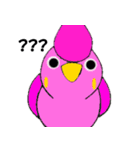 BIRD OKAME ETC（個別スタンプ：39）