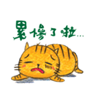 ORECAT(Daily Dialogue)（個別スタンプ：40）