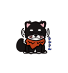 らぶいぬ（個別スタンプ：17）