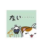 端っこから猫（個別スタンプ：20）