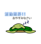 カメのきもち（個別スタンプ：27）