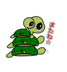 カメのきもち（個別スタンプ：36）