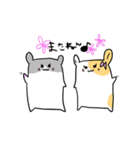 はむすたー！withいもむー（個別スタンプ：16）