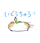 はむすたー！withいもむー（個別スタンプ：34）