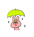 色兎（個別スタンプ：27）