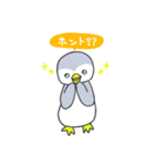 ペンギンのぴーちゃん（個別スタンプ：3）