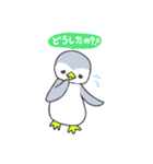 ペンギンのぴーちゃん（個別スタンプ：4）