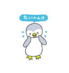 ペンギンのぴーちゃん（個別スタンプ：27）